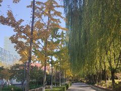 -大兴滨河森林公园