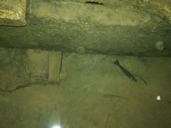 android_upload_pic-杭州千岛湖开元度假村