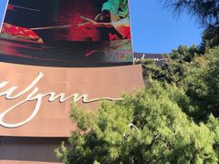 -拉斯维加斯永利酒店