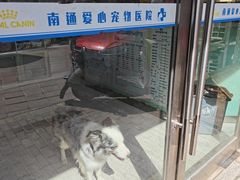 -海门爱心宠物医院