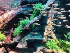 -沈阳海洋探索中心