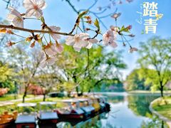 -上海共青森林公园