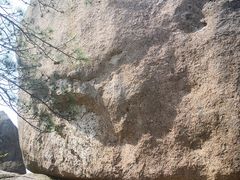 -玉苍山国家森林公园