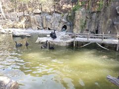 -燕塞湖鸟语林景区