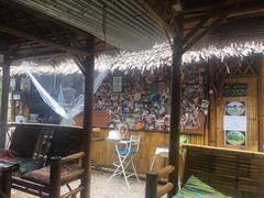 -Jungle Kitchen