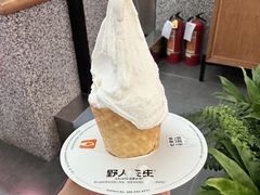-野人先生Gelato(上海长宁龙之梦店)
