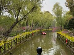 -南汇桃花村