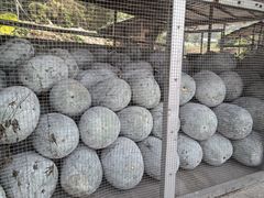 -红旗山庄(圭峰山店)