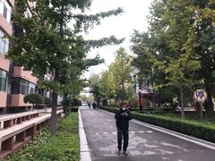 -迎泽公园