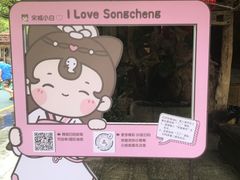 -杭州宋城
