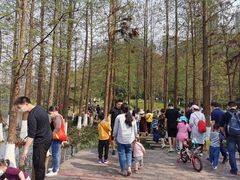 -重庆彩云湖湿地公园