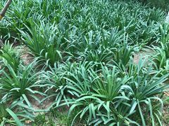 -万达影城(潍坊万达广场IMAX店)