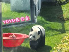 -无锡动物园·太湖欢乐园