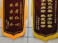 -中农国际动物医院24小时·猫科·骨科·急重症中心