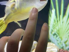 -上海海洋水族馆