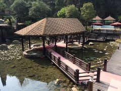 -明月山天沐温泉度假村