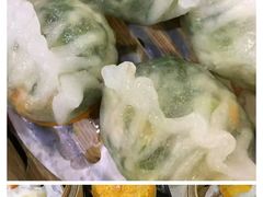 -友谊阳光城