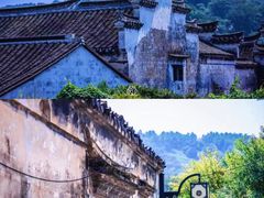 -苏州太湖西山岛开心农场