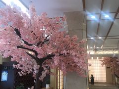 -汤里来温泉