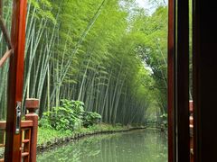 -同里国家湿地公园