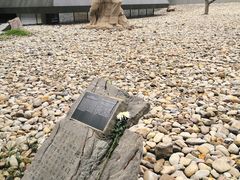 -侵华日军南京大屠杀遇难同胞纪念馆-停车场