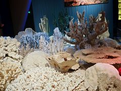 -深海中餐厅(国家海洋博物馆店)