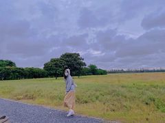 -汉长安城未央宫国家考古遗址公园