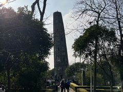 -上海佘山国家森林公园天马山园