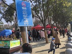 -合肥滨湖国家森林公园