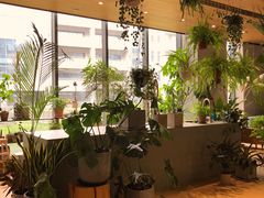 -山下C5cafe(惠通时代广场店)