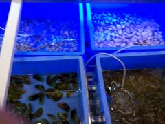 -李氏圣鲸大型自助餐