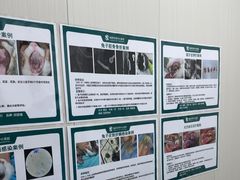 -东莞宠友24H宠物中心医院·转诊夜诊·异宠(新河北路院)