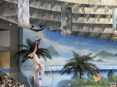 -海合安成都极地海洋公园