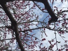 云顶石城风景区-金堂县云顶石城风景区