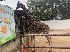 -昆明动物园