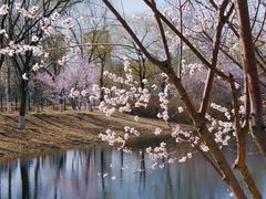 -南海子公园