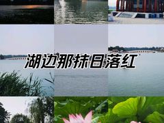 -颐和园