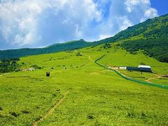 -灵山