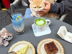 -咖法森林·咖啡  酒吧(天河店)