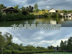 -西溪国家湿地公园