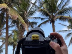 -西秀海滩公园