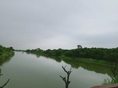 -鹤之洲湿地公园