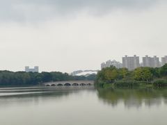 -昆山城市生态森林公园