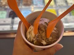 拿铁咖啡冰淇淋-iceason爱茜茜里·意大利健康冰淇淋(骑龙巷店)