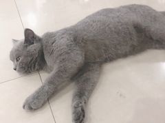 -iF摄影•全家福•证件照•形象照(南山店)