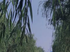 -艾溪湖湿地公园