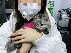 -爱侣宠医·鹦鹉专科·小型哺乳类·异宠专科(灵石路店)