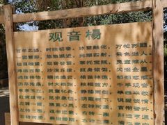 -金塔沙漠胡杨林景区