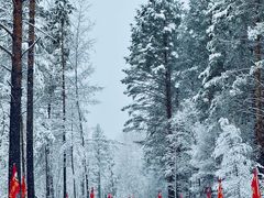 -北极村旅游风景区