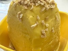 芒果-于春正宗椰奶清补凉炒冰